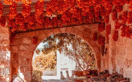 Apulia authentic experience